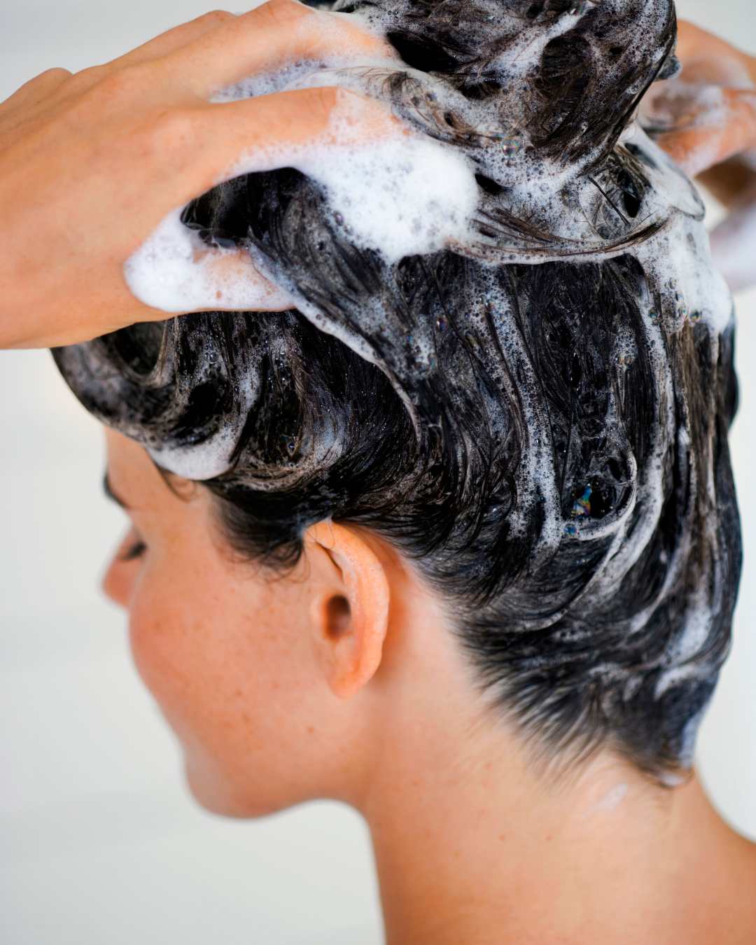 planter-s-shampoo-volumizzante-con-balsamo-e-aloe-per-capelli-fini-fragili-e-sen image 2